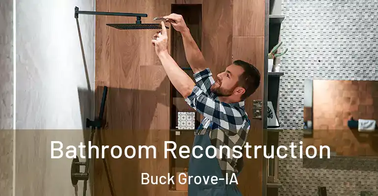 inner Bathroom imggen Bathroom Reconstruction Buck Grove-IA
