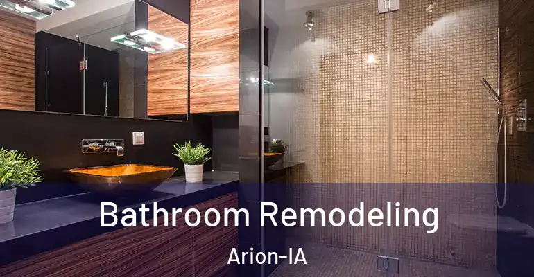 inner Bathroom imggen Bathroom Remodeling Arion-IA