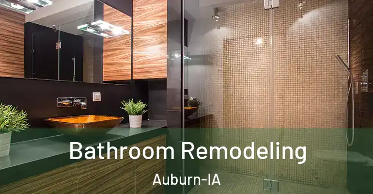 inner Bathroom imggen Bathroom Remodeling Auburn-IA