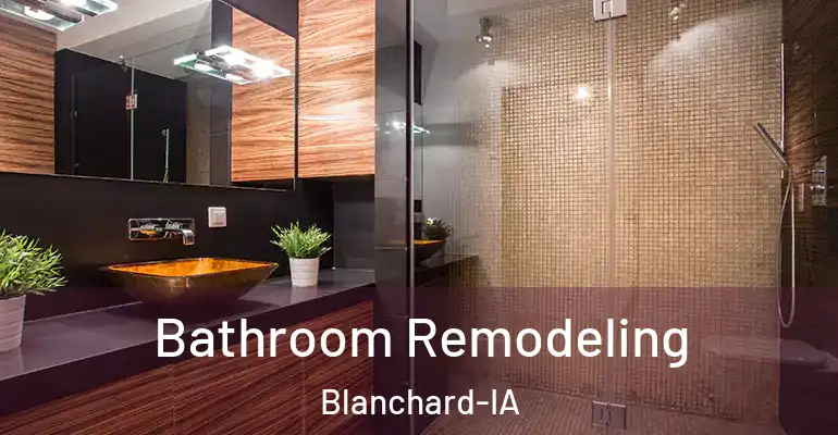 inner Bathroom imggen Bathroom Remodeling Blanchard-IA