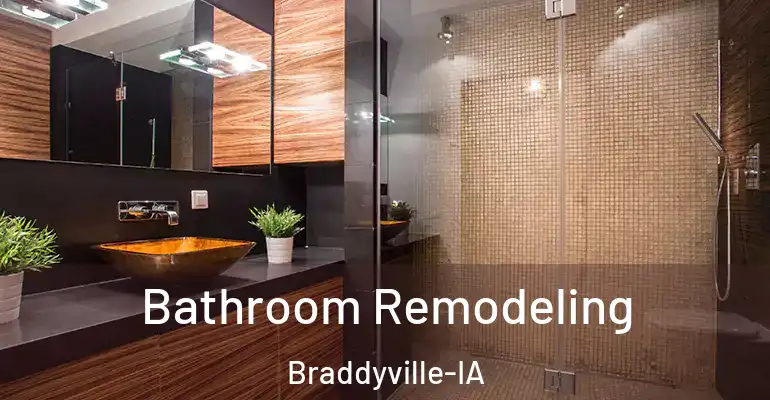 inner Bathroom imggen Bathroom Remodeling Braddyville-IA