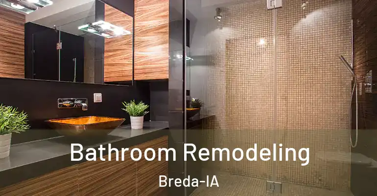inner Bathroom imggen Bathroom Remodeling Breda-IA