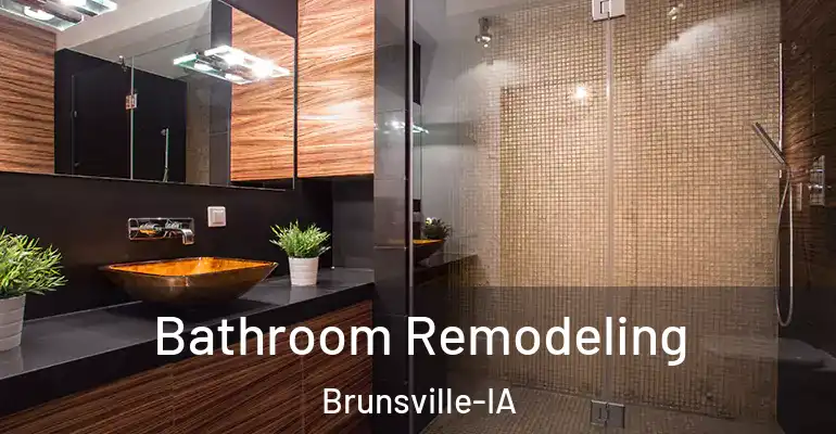 inner Bathroom imggen Bathroom Remodeling Brunsville-IA