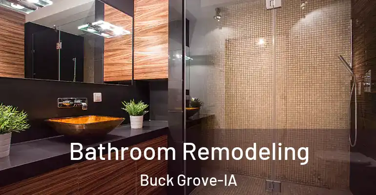 inner Bathroom imggen Bathroom Remodeling Buck Grove-IA