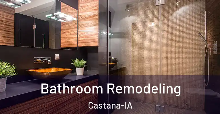 inner Bathroom imggen Bathroom Remodeling Castana-IA