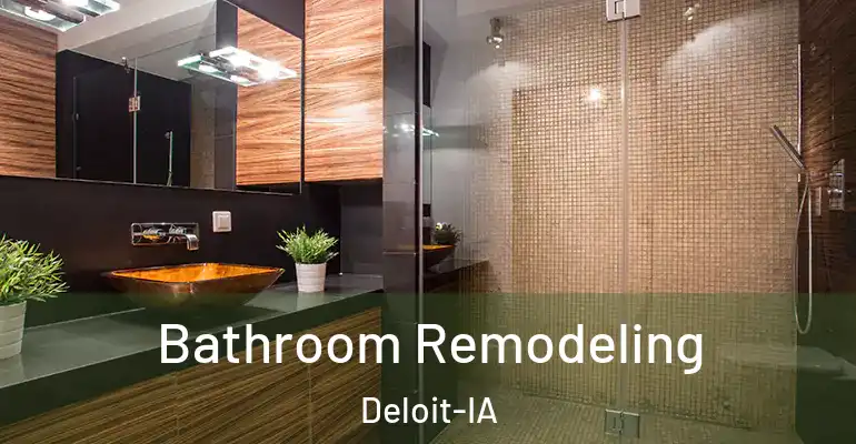 inner Bathroom imggen Bathroom Remodeling Deloit-IA