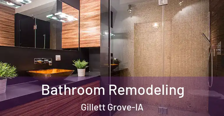 inner Bathroom imggen Bathroom Remodeling Gillett Grove-IA