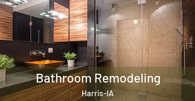 inner Bathroom imggen Bathroom Remodeling Harris-IA