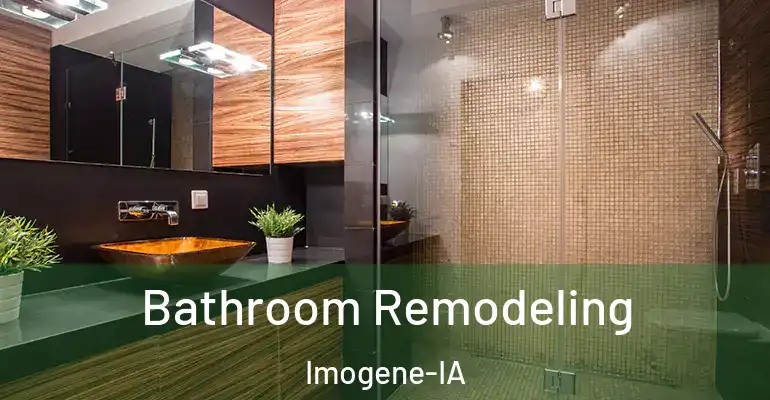 inner Bathroom imggen Bathroom Remodeling Imogene-IA