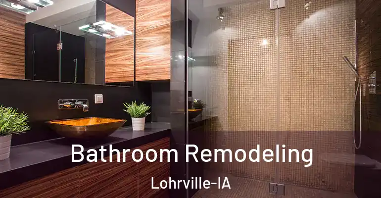 inner Bathroom imggen Bathroom Remodeling Lohrville-IA