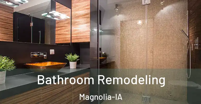 inner Bathroom imggen Bathroom Remodeling Magnolia-IA