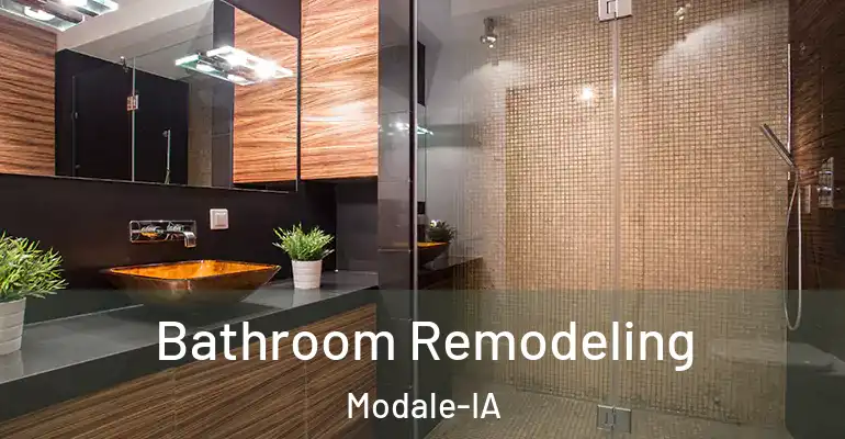 inner Bathroom imggen Bathroom Remodeling Modale-IA
