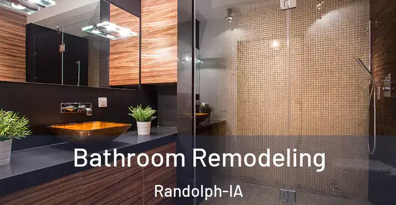 inner Bathroom imggen Bathroom Remodeling Randolph-IA