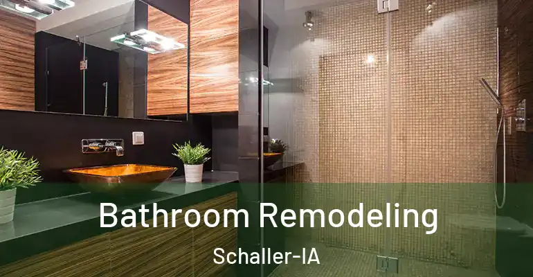 inner Bathroom imggen Bathroom Remodeling Schaller-IA