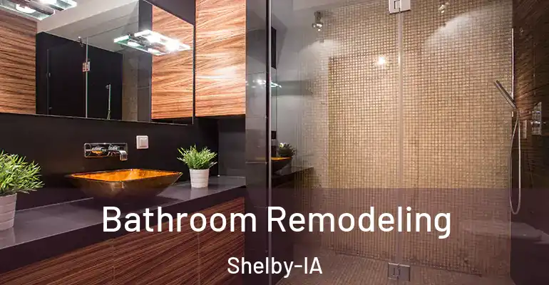 inner Bathroom imggen Bathroom Remodeling Shelby-IA
