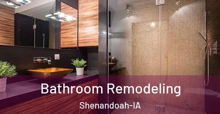 inner Bathroom imggen Bathroom Remodeling Shenandoah-IA