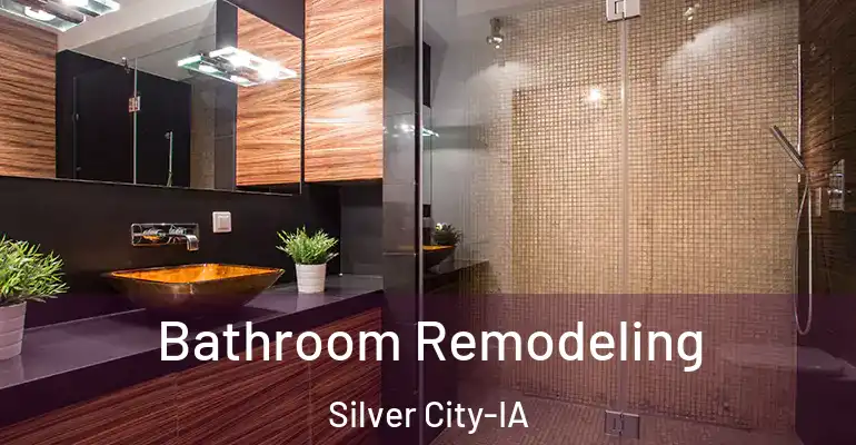 inner Bathroom imggen Bathroom Remodeling Silver City-IA