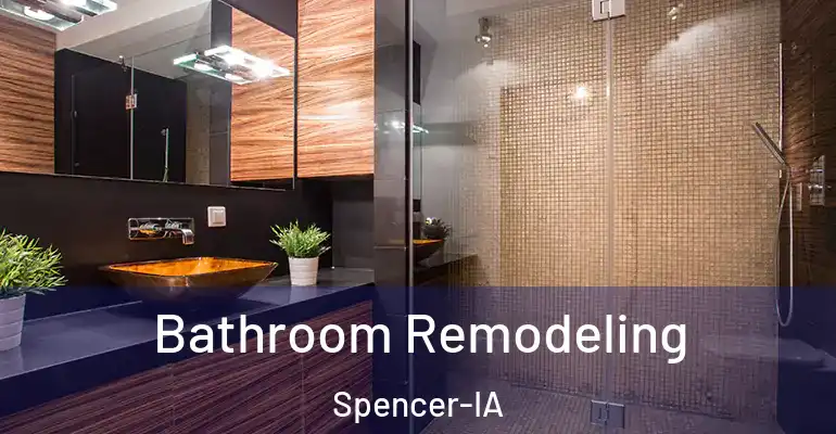 inner Bathroom imggen Bathroom Remodeling Spencer-IA