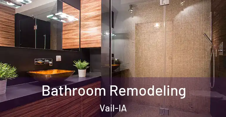 inner Bathroom imggen Bathroom Remodeling Vail-IA