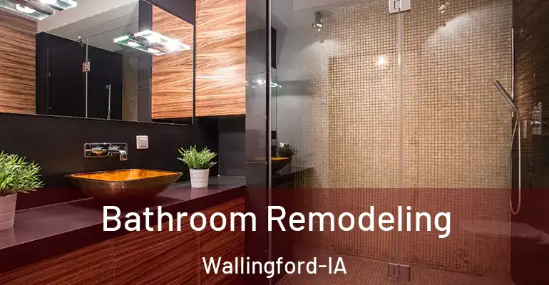 inner Bathroom imggen Bathroom Remodeling Wallingford-IA