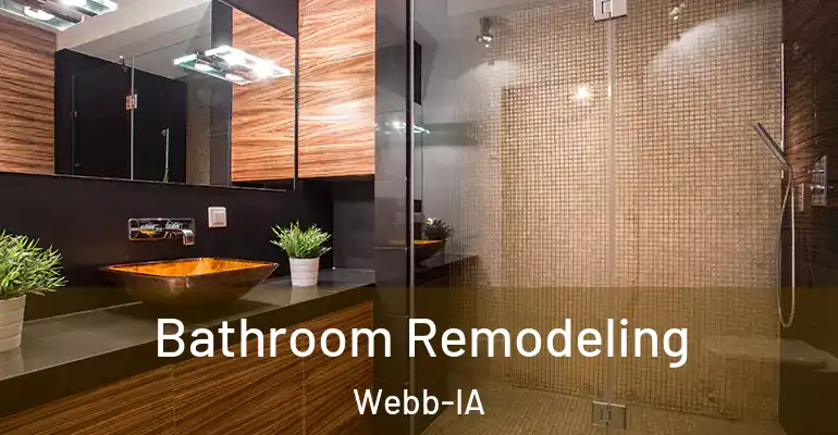 inner Bathroom imggen Bathroom Remodeling Webb-IA