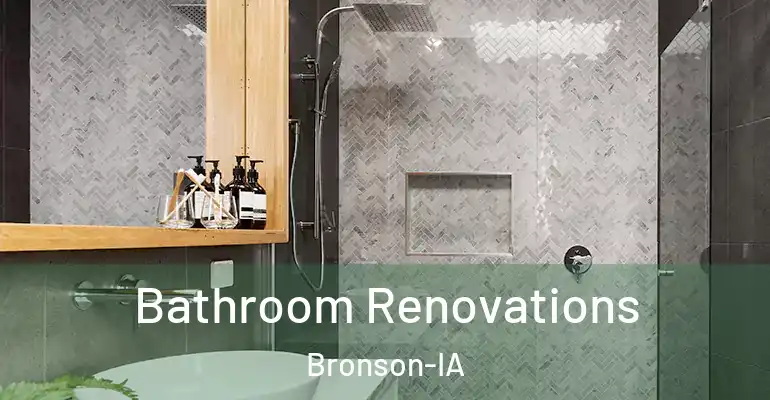 inner Bathroom imggen Bathroom Renovations Bronson-IA