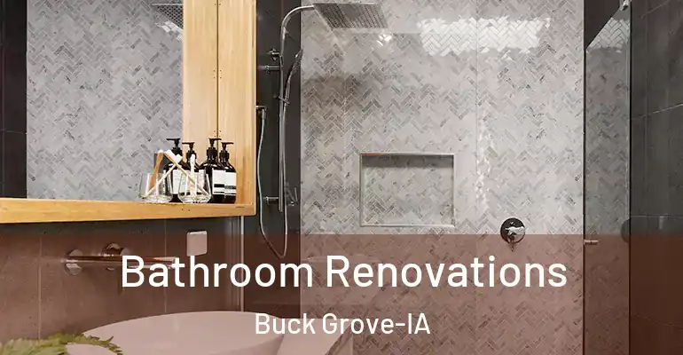 inner Bathroom imggen Bathroom Renovations Buck Grove-IA
