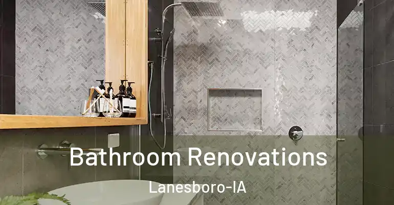inner Bathroom imggen Bathroom Renovations Lanesboro-IA