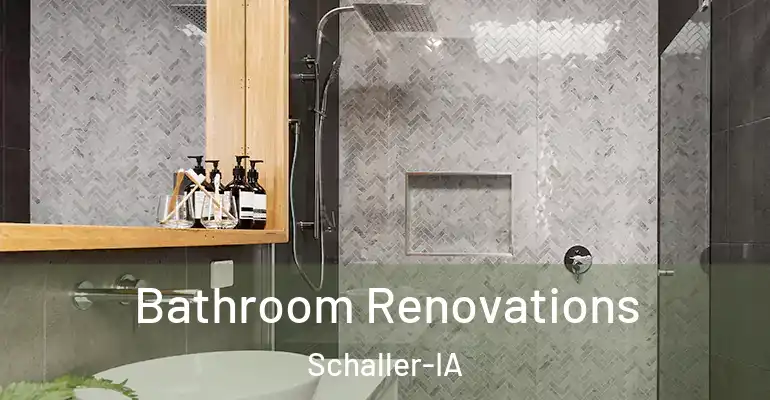inner Bathroom imggen Bathroom Renovations Schaller-IA