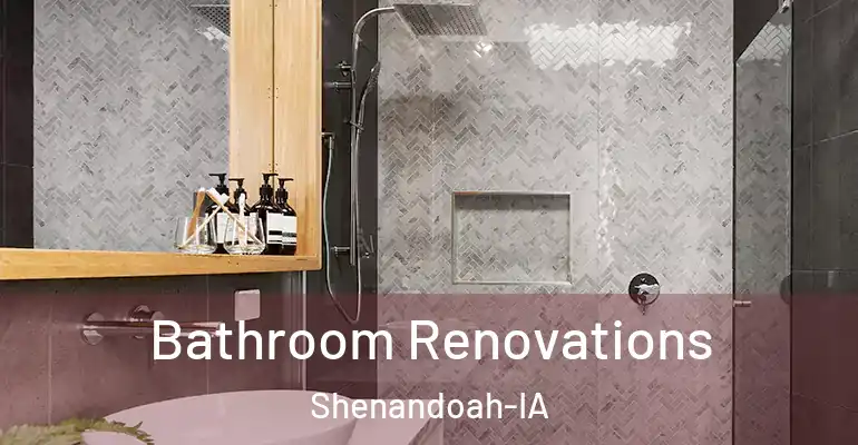 inner Bathroom imggen Bathroom Renovations Shenandoah-IA