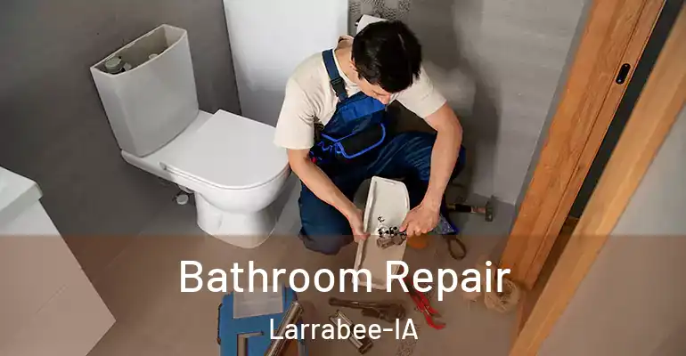 inner Bathroom imggen Bathroom Repair Larrabee-IA
