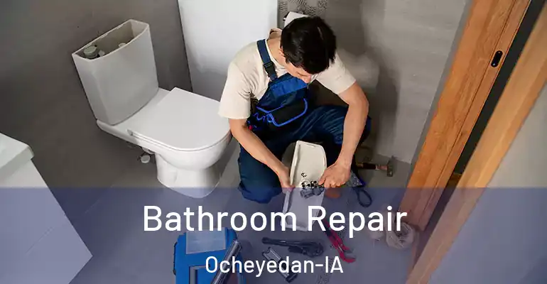 inner Bathroom imggen Bathroom Repair Ocheyedan-IA