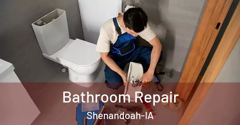 inner Bathroom imggen Bathroom Repair Shenandoah-IA