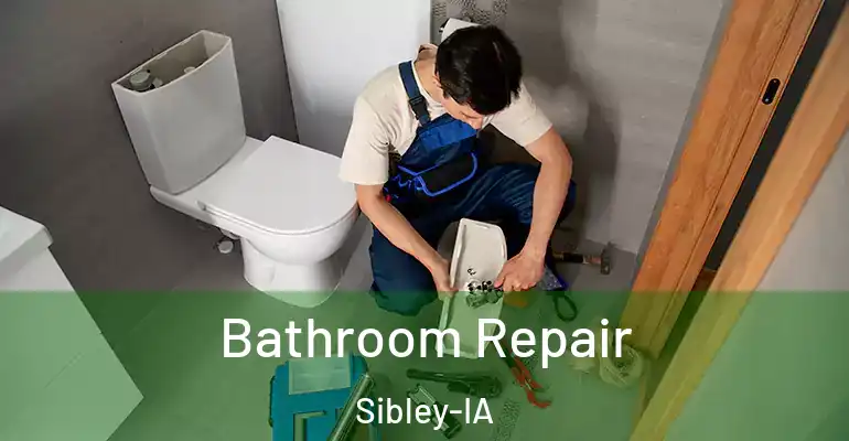 inner Bathroom imggen Bathroom Repair Sibley-IA