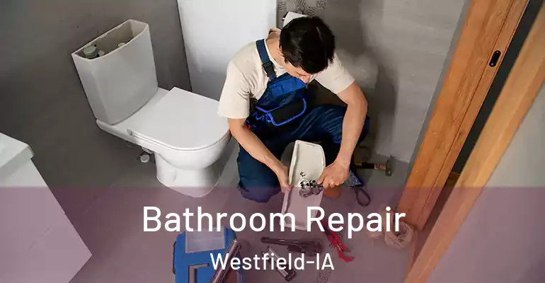 inner Bathroom imggen Bathroom Repair Westfield-IA