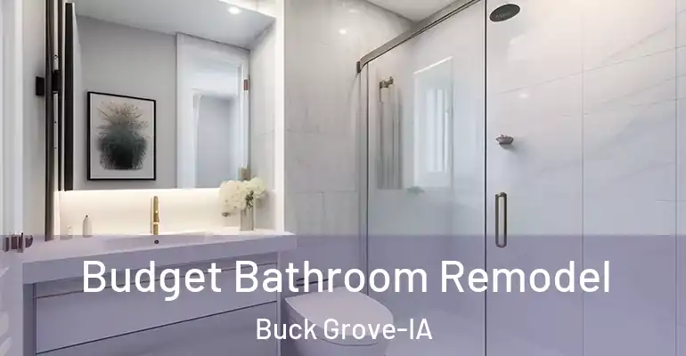 inner Bathroom imggen Budget Bathroom Remodel Buck Grove-IA