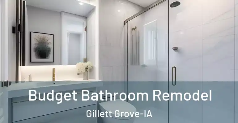 inner Bathroom imggen Budget Bathroom Remodel Gillett Grove-IA