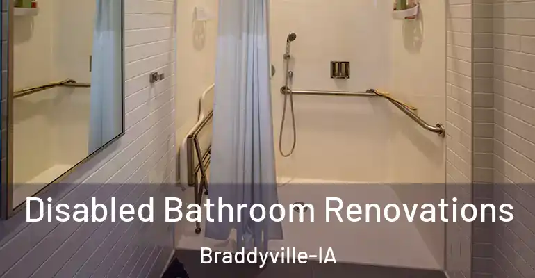 inner Bathroom imggen Disabled Bathroom Renovations Braddyville-IA