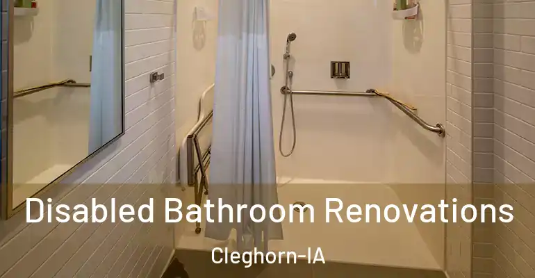 inner Bathroom imggen Disabled Bathroom Renovations Cleghorn-IA
