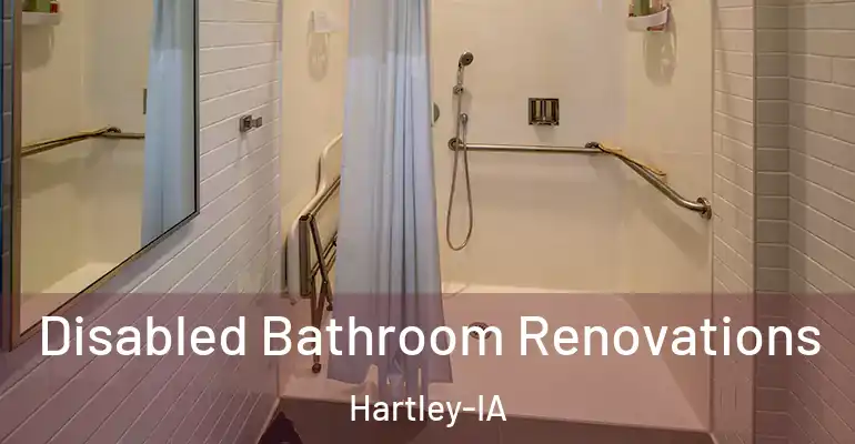 inner Bathroom imggen Disabled Bathroom Renovations Hartley-IA