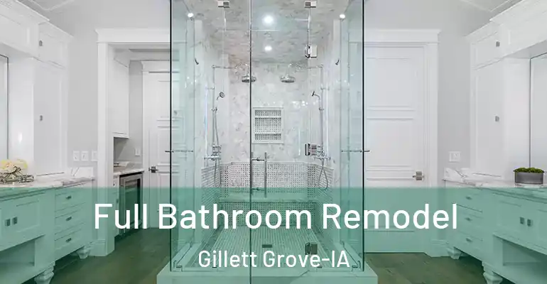 inner Bathroom imggen Full Bathroom Remodel Gillett Grove-IA