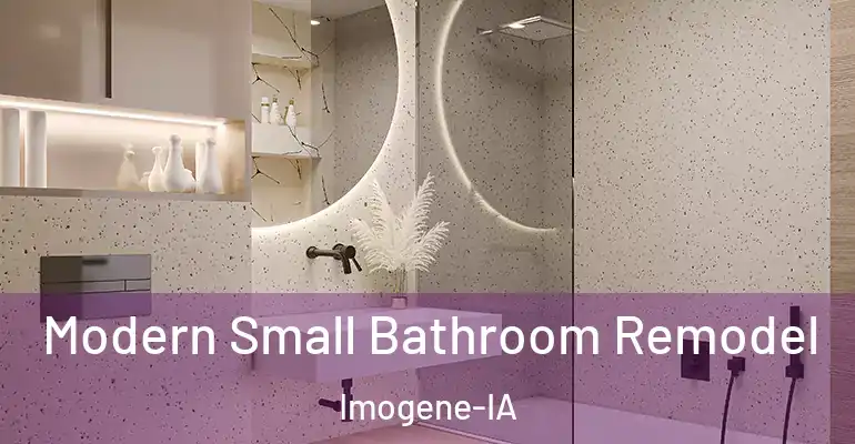 inner Bathroom imggen Modern Small Bathroom Remodel Imogene-IA