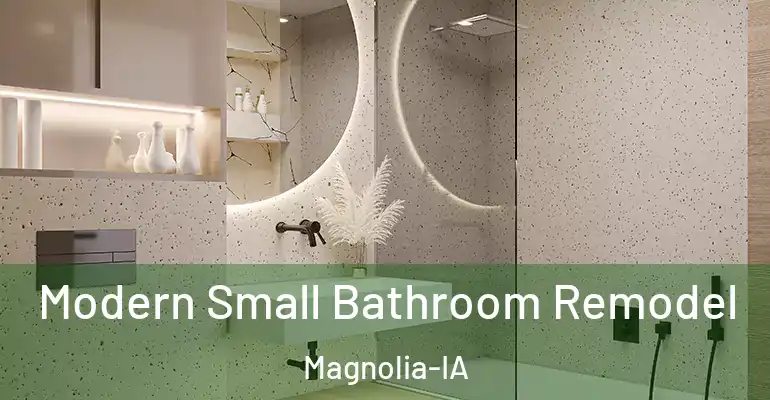 inner Bathroom imggen Modern Small Bathroom Remodel Magnolia-IA