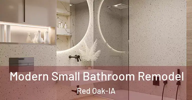 inner Bathroom imggen Modern Small Bathroom Remodel Red Oak-IA