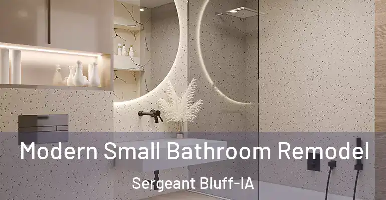 inner Bathroom imggen Modern Small Bathroom Remodel Sergeant Bluff-IA