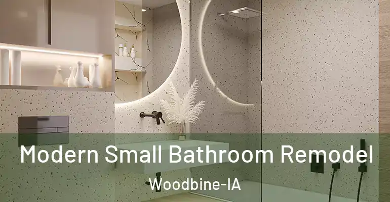 inner Bathroom imggen Modern Small Bathroom Remodel Woodbine-IA