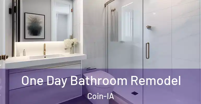 inner Bathroom imggen One Day Bathroom Remodel Coin-IA