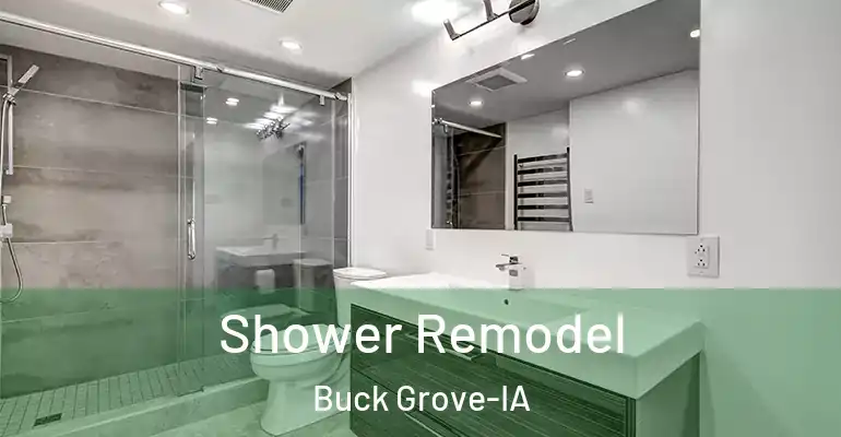 inner Bathroom imggen Shower Remodel Buck Grove-IA