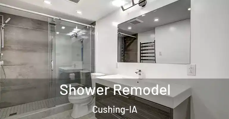 inner Bathroom imggen Shower Remodel Cushing-IA