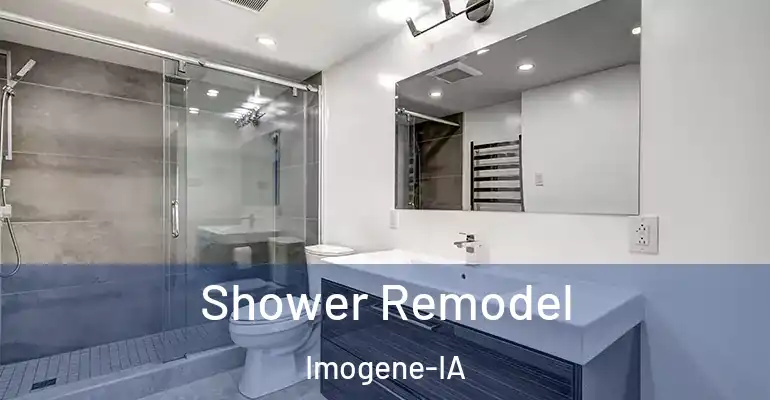 inner Bathroom imggen Shower Remodel Imogene-IA